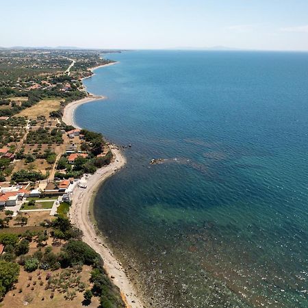 Papi'S Free Parking Villa Αλεξανδρούπολη Εξωτερικό φωτογραφία